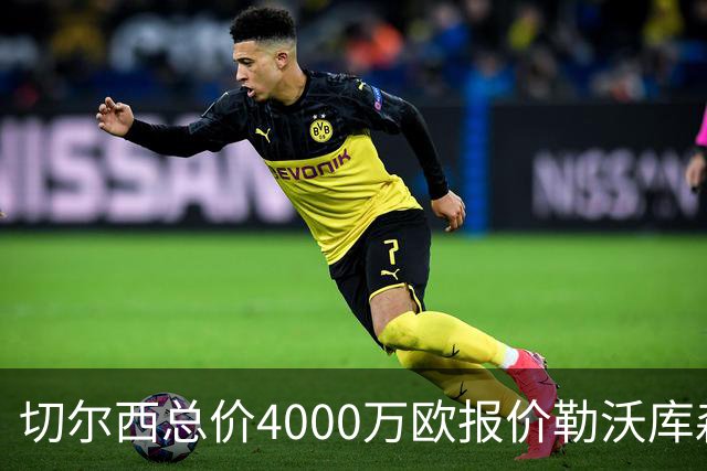 切尔西总价4000万欧报价勒沃库森小将，哈维·阿隆索亲自为他规划成长路线