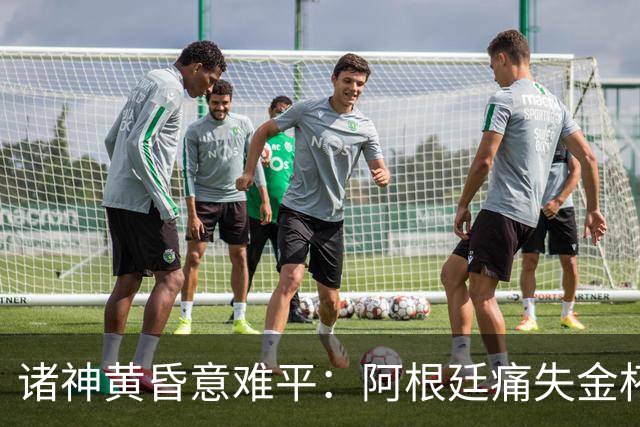 诸神黄昏意难平：阿根廷痛失金杯，梅西坦言伤疤难愈合，39岁老将无缘卫冕
