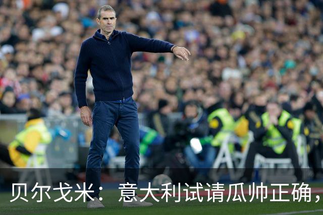 贝尔戈米：意大利试请瓜帅正确，曼奇尼、孔蒂、皮尔洛均优秀